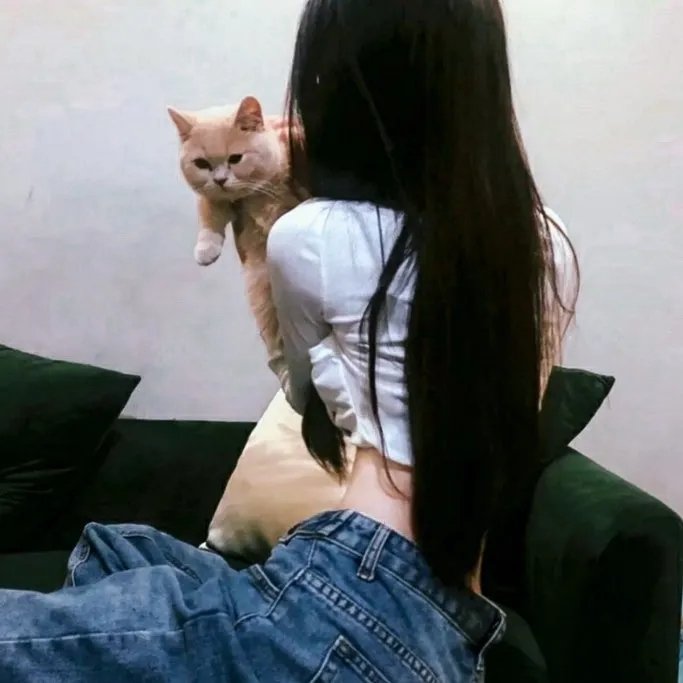 彩虹失窃事件